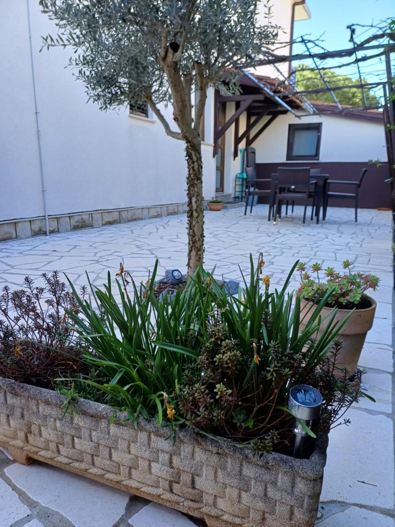 Apartments Grahovac Umag Exterior foto